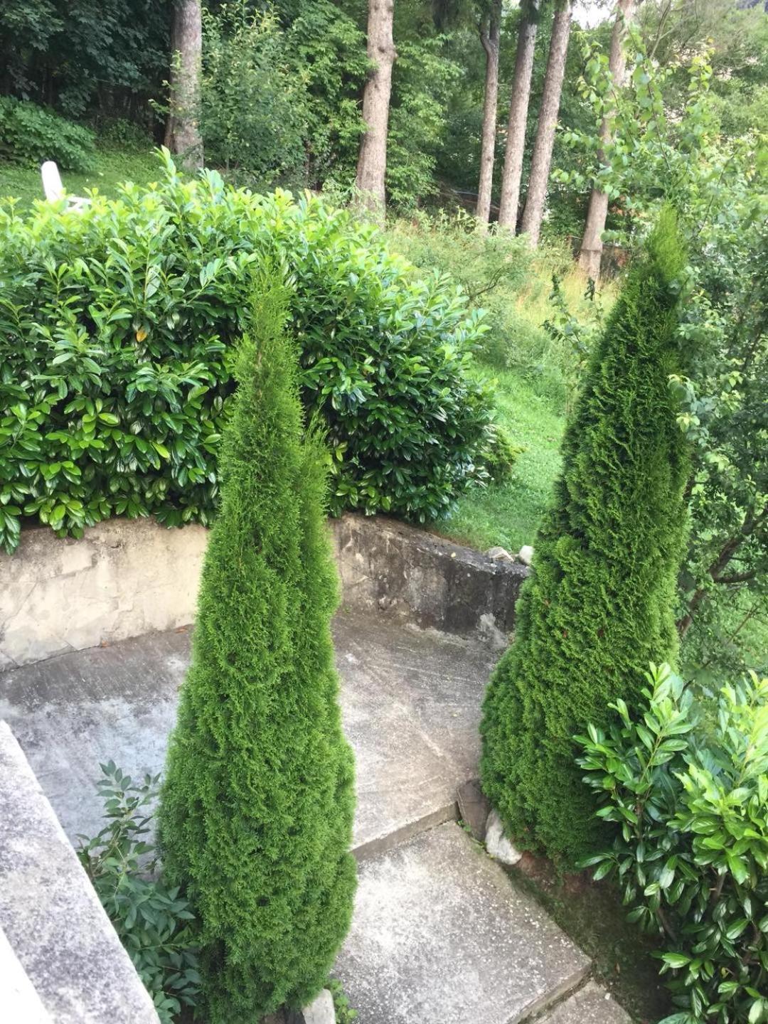 Il Piccolo Castello Buşteni Exterior foto